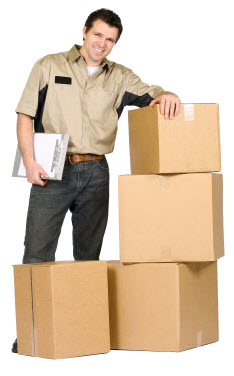 Delivery Man